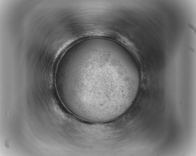 X0000100900012200807011231