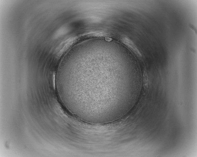 X0000100900014200807011231