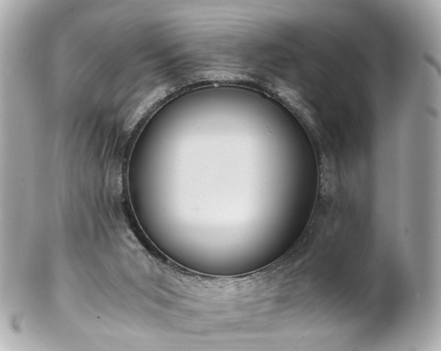 X0000100900015200807011231