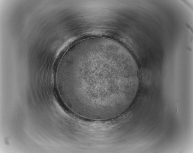 X0000100900016200807011231