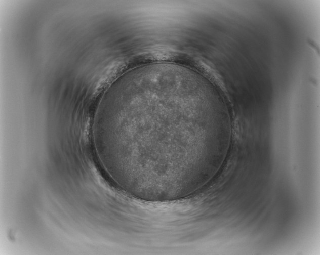 X0000100900018200807011231