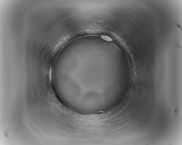 X0000100900019200807011231