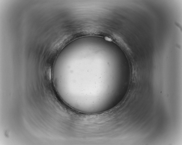 X0000100900021200807011231