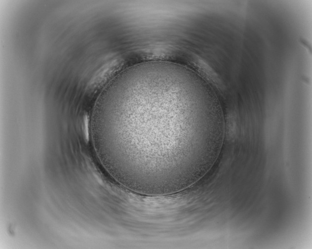 X0000100900022200807011231