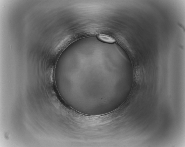 X0000100900023200807011231