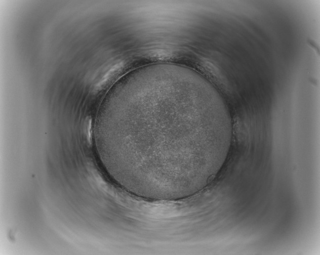 X0000100900024200807011231