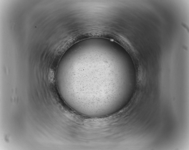 X0000100900025200807011231