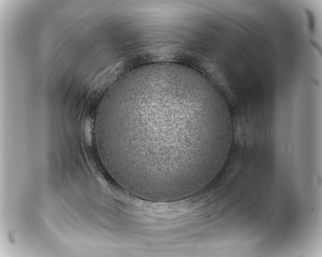 X0000100900026200807011231