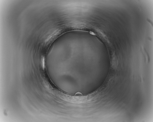 X0000100900027200807011231