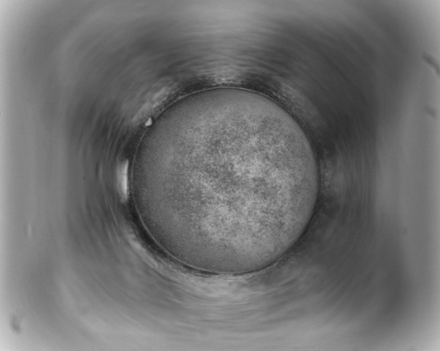 X0000100900028200807011231