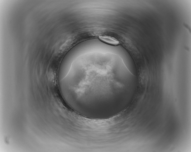 X0000100900031200807011231