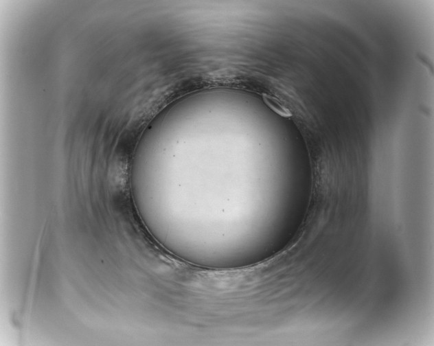 X0000100900033200807011231