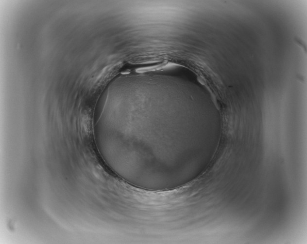 X0000100900035200807011231