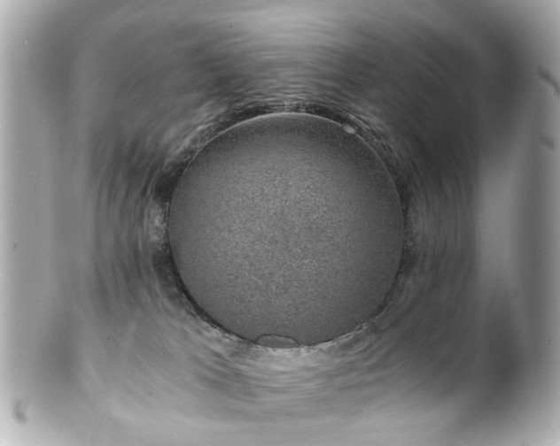 X0000100900037200807011230