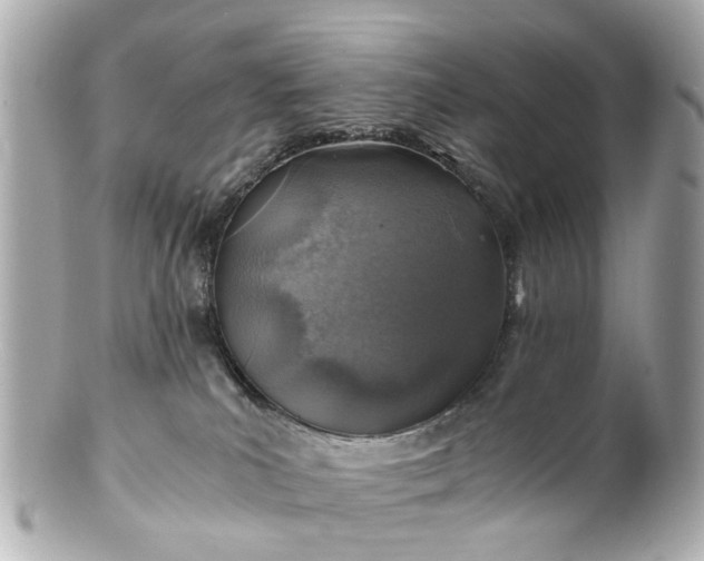 X0000100900039200807011230