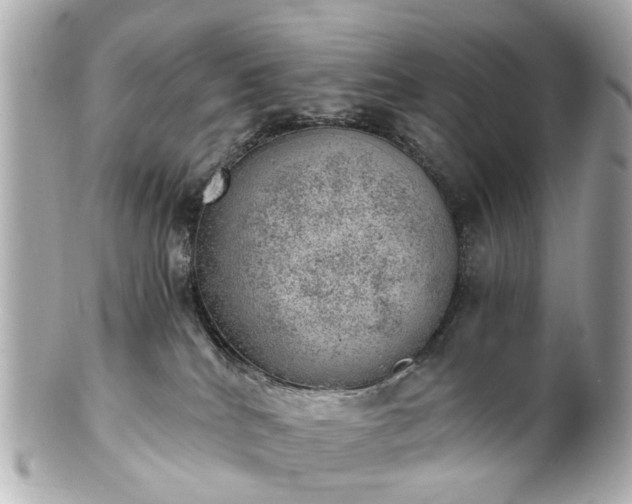 X0000100900040200807011230