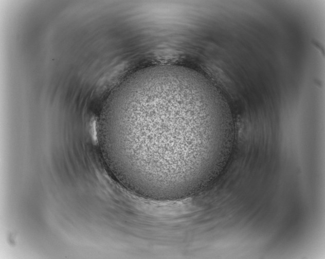 X0000100900042200807011230