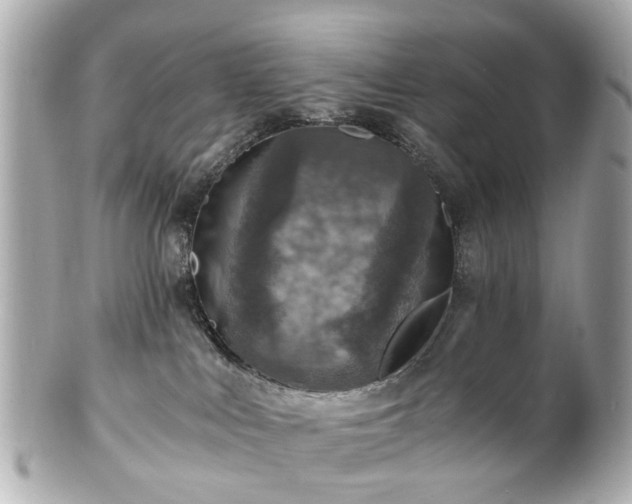 X0000100900043200807011230