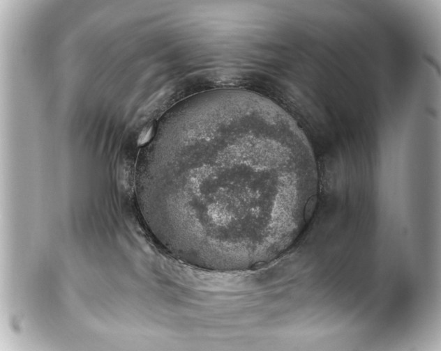 X0000100900044200807011230