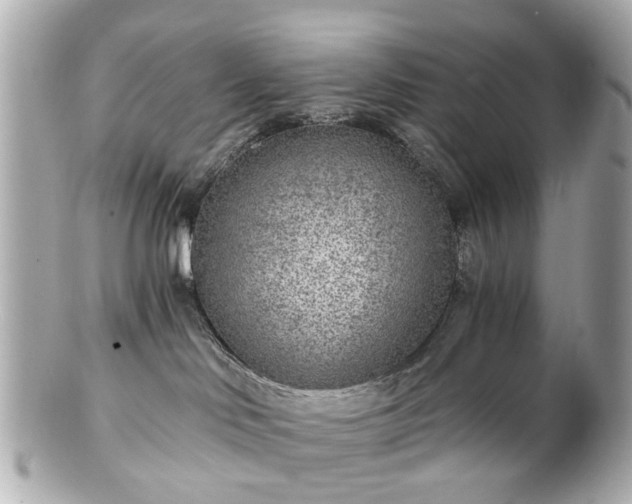 X0000100900046200807011230