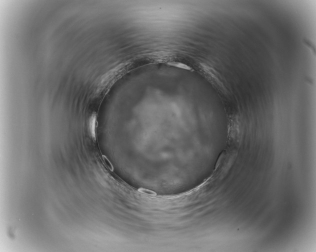 X0000100900047200807011230