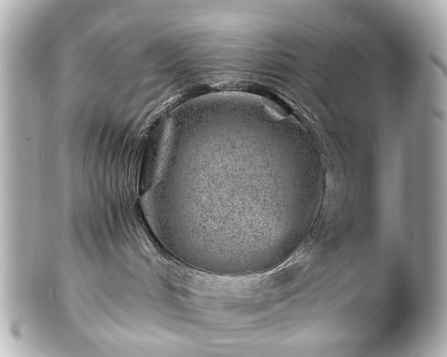 X0000100900048200807011230