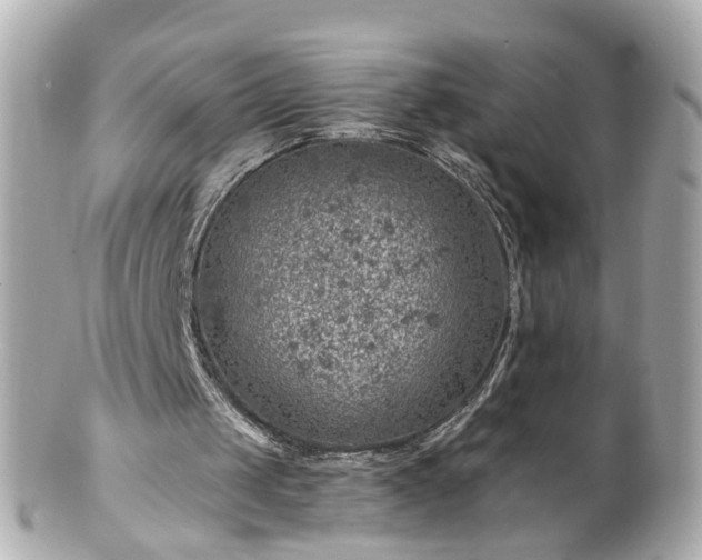 X0000100900049200807011230