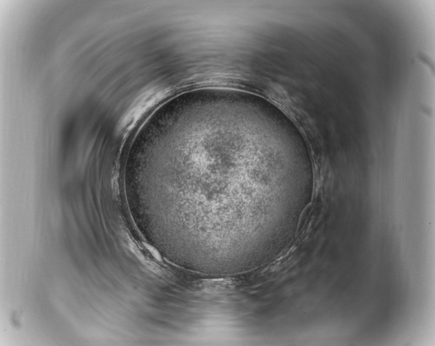 X0000100900050200807011230