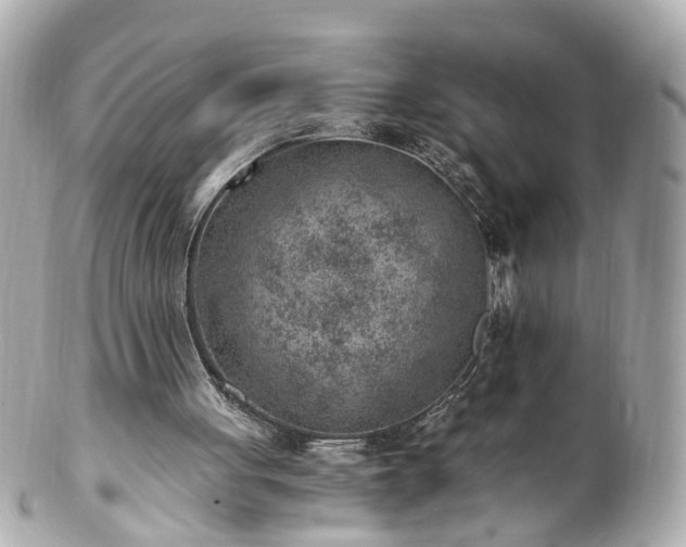 X0000100900051200807011230