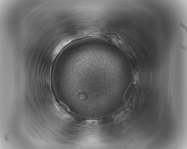 X0000100900052200807011230