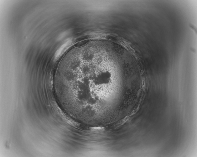 X0000100900053200807011230