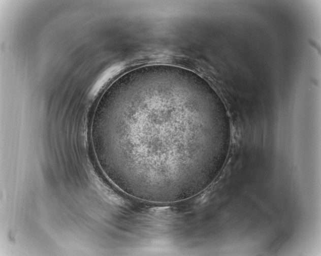 X0000100900054200807011230