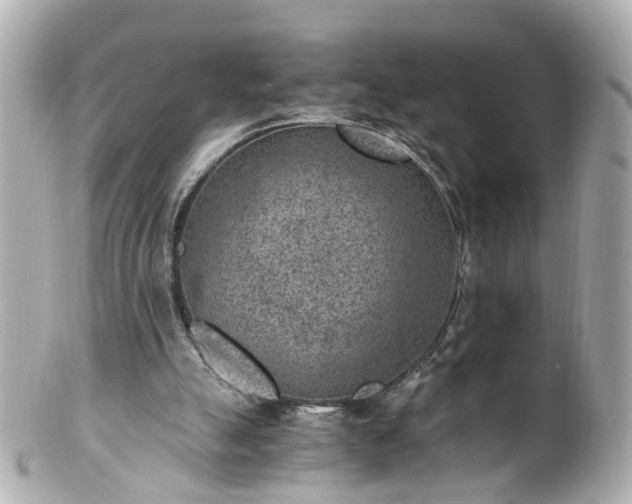 X0000100900055200807011230