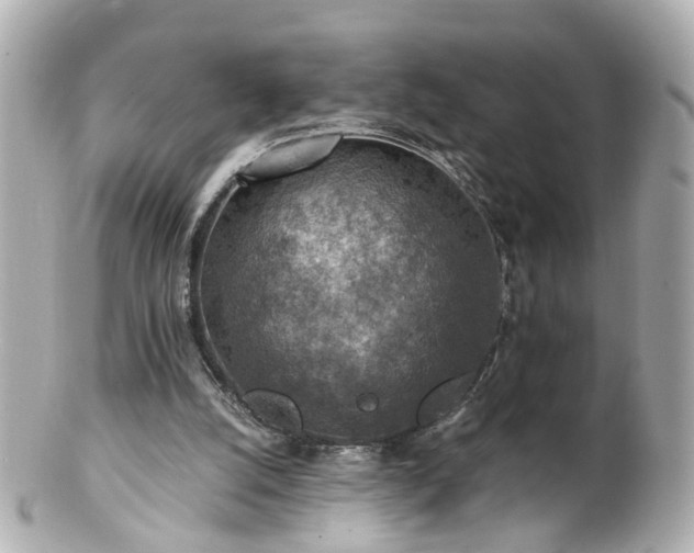 X0000100900056200807011230