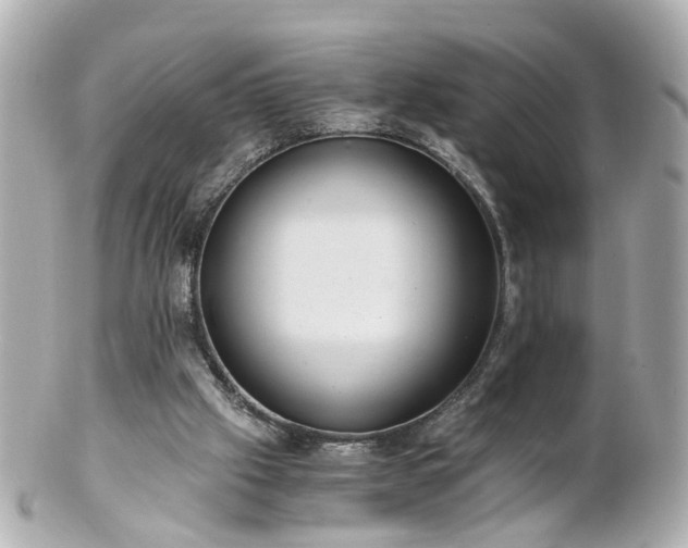 X0000100900057200807011230