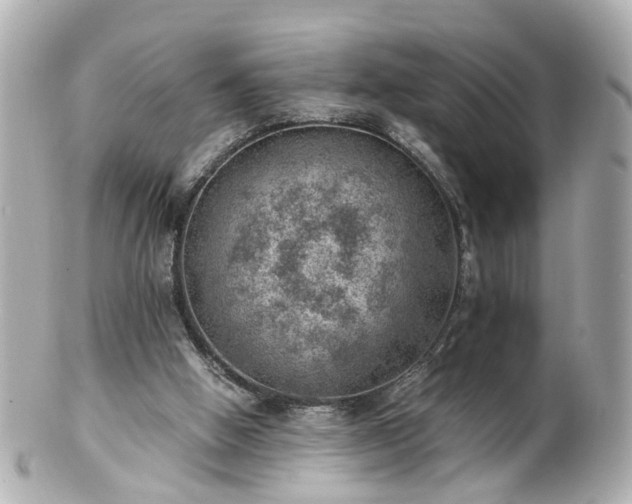 X0000100900058200807011230