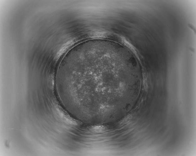 X0000100900059200807011230