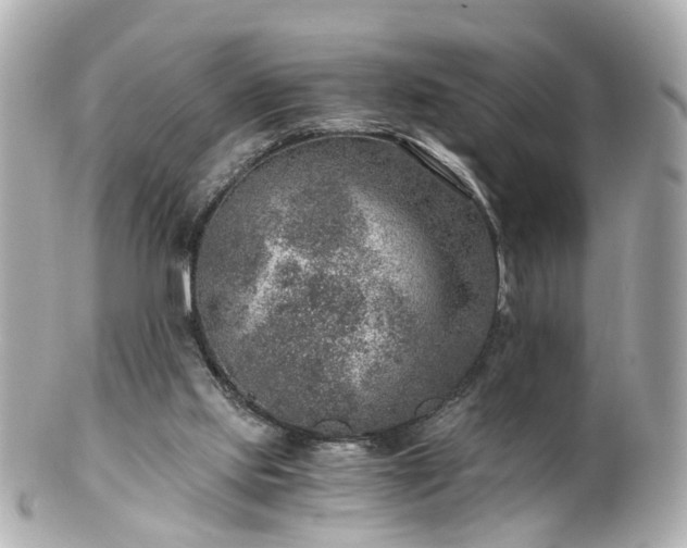 X0000100900061200807011230