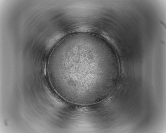 X0000100900062200807011230