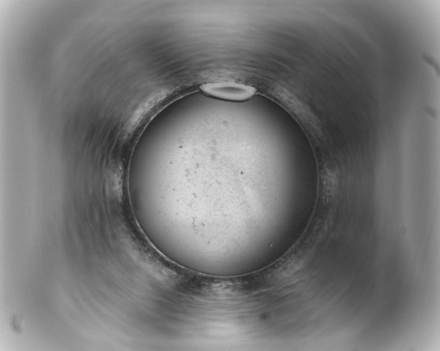 X0000100900064200807011230