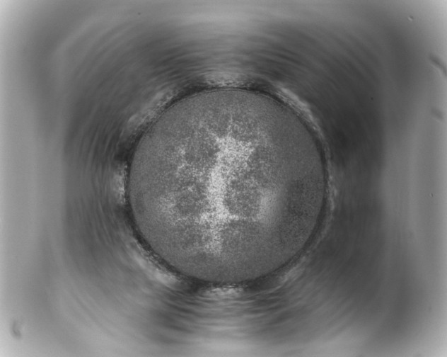 X0000100900065200807011230