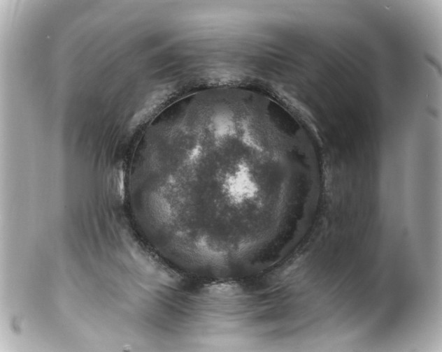 X0000100900067200807011230