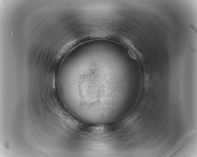 X0000100900068200807011230