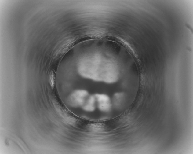 X0000100900069200807011230