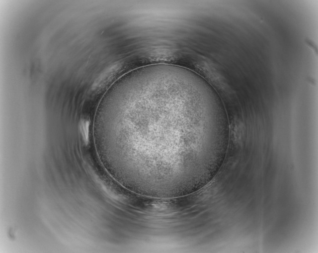 X0000100900070200807011230