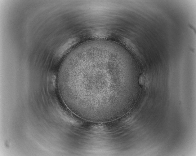 X0000100900071200807011230