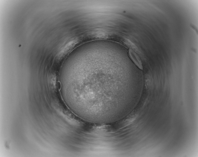 X0000100900072200807011230