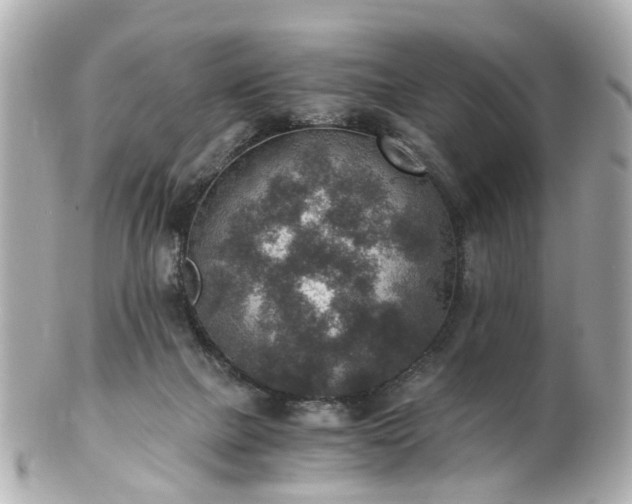 X0000100900073200807011230