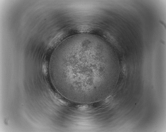 X0000100900074200807011230