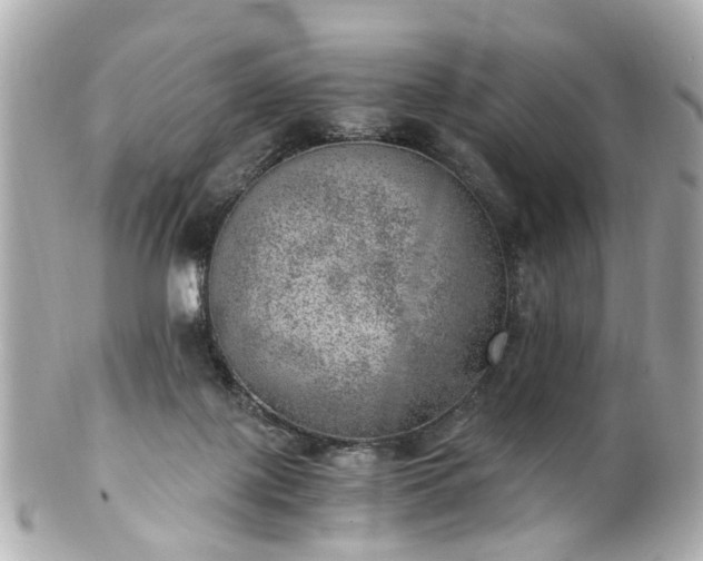 X0000100900075200807011230